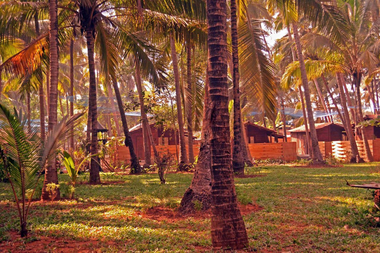 Mandrem Village Resort ภายนอก รูปภาพ