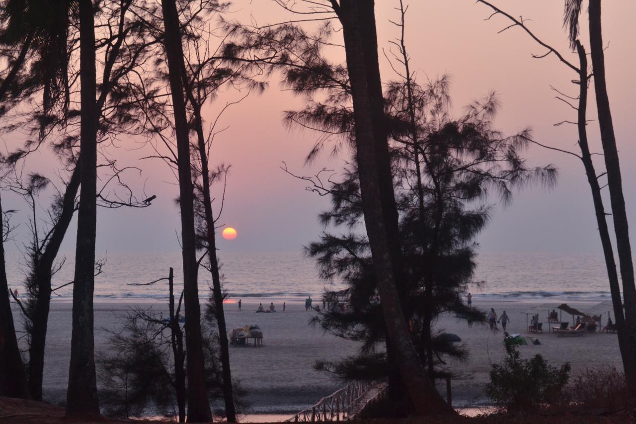 Mandrem Village Resort ภายนอก รูปภาพ