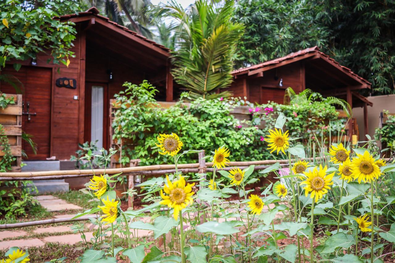 Mandrem Village Resort ภายนอก รูปภาพ